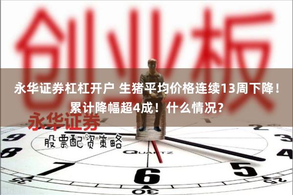 永华证券杠杠开户 生猪平均价格连续13周下降！累计降幅超4成！什么情况？