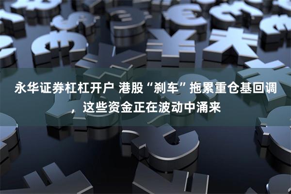 永华证券杠杠开户 港股“刹车”拖累重仓基回调，这些资金正在波动中涌来