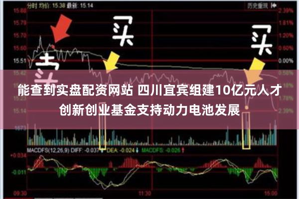 能查到实盘配资网站 四川宜宾组建10亿元人才创新创业基金支持动力电池发展