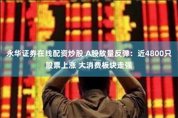 永华证券在线配资炒股 A股放量反弹：近4800只股票上涨 大消费板块走强