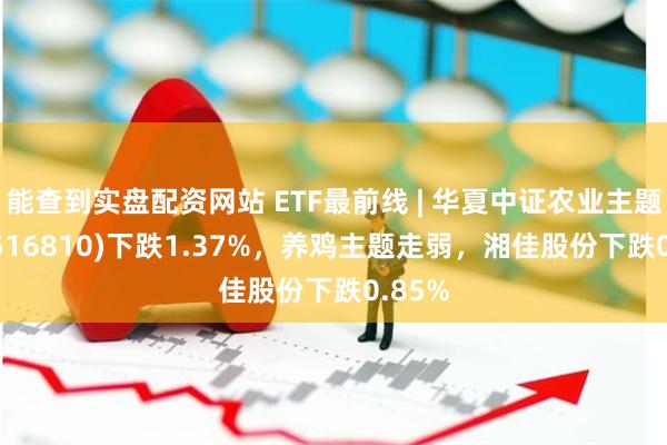 能查到实盘配资网站 ETF最前线 | 华夏中证农业主题ETF(516810)下跌1.37%，养鸡主题走弱，湘佳股份下跌0.85%