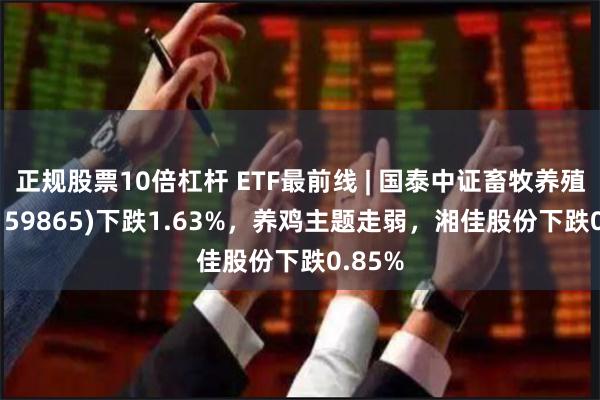 正规股票10倍杠杆 ETF最前线 | 国泰中证畜牧养殖ETF(159865)下跌1.63%，养鸡主题走弱，湘佳股份下跌0.85%
