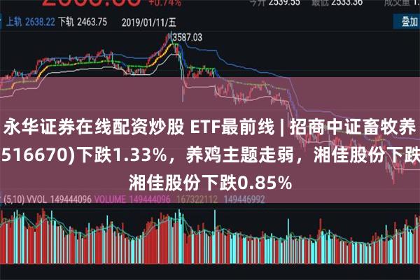 永华证券在线配资炒股 ETF最前线 | 招商中证畜牧养殖ETF(516670)下跌1.33%，养鸡主题走弱，湘佳股份下跌0.85%
