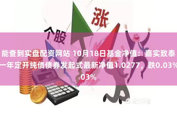 能查到实盘配资网站 10月18日基金净值：嘉实致泰一年定开纯债债券发起式最新净值1.0277，跌0.03%
