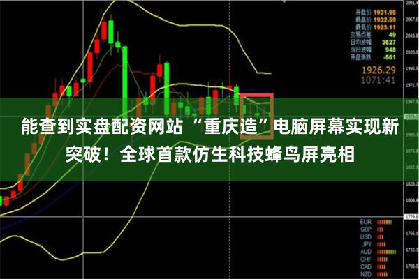 能查到实盘配资网站 “重庆造”电脑屏幕实现新突破！全球首款仿生科技蜂鸟屏亮相