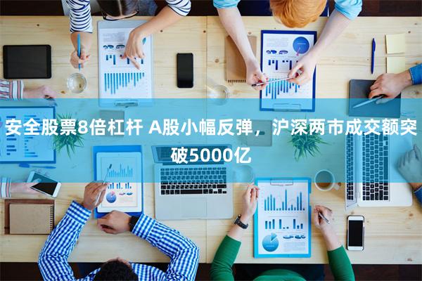 安全股票8倍杠杆 A股小幅反弹，沪深两市成交额突破5000亿